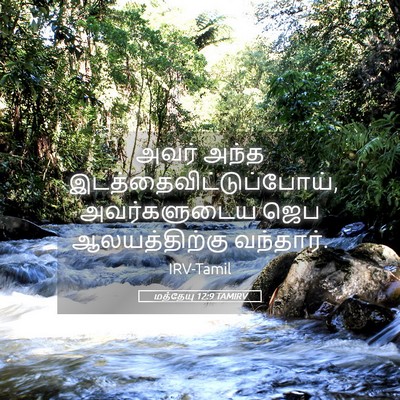 Picture 05 - மத்தேயு 12:9 TAMIRV - அவர் அந்த - Bible Verse Picture