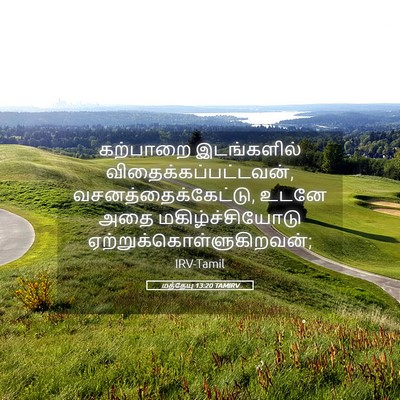 Picture 05 - மத்தேயு 13:20 TAMIRV - கற்பாறை இடங்களில் - Bible Verse Picture