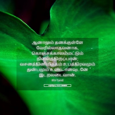 Picture 05 - மத்தேயு 13:21 TAMIRV - ஆனாலும் - Bible Verse Picture