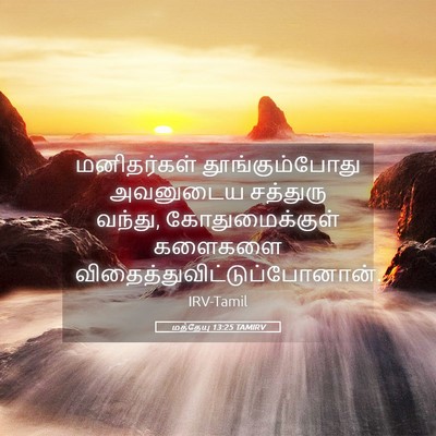 Picture 05 - மத்தேயு 13:25 TAMIRV - மனிதர்கள் - Bible Verse Picture