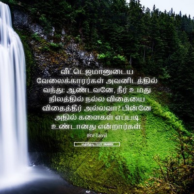Picture 05 - மத்தேயு 13:27 TAMIRV - வீட்டெஜமானுடைய - Bible Verse Picture