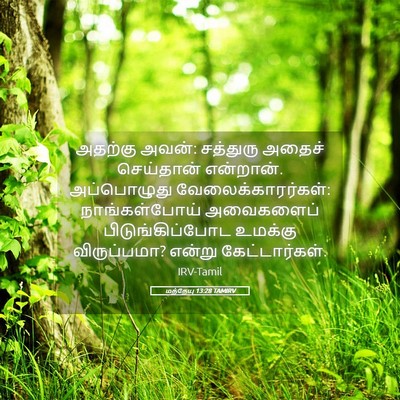 Picture 05 - மத்தேயு 13:28 TAMIRV - அதற்கு அவன்: - Bible Verse Picture