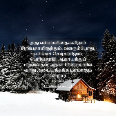 Picture 05 - மத்தேயு 13:32 TAMIRV - அது - Bible Verse Picture
