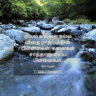 Picture 05 - மத்தேயு 13:38 TAMIRV - நிலம் உலகம்; நல்ல - Bible Verse Picture