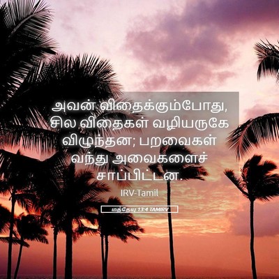 Picture 05 - மத்தேயு 13:4 TAMIRV - அவன் - Bible Verse Picture
