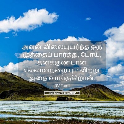 Picture 05 - மத்தேயு 13:46 TAMIRV - அவன் விலையுயர்ந்த - Bible Verse Picture