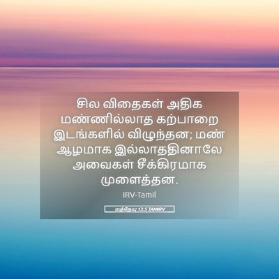 Picture 05 - மத்தேயு 13:5 TAMIRV - சில விதைகள் அதிக - Bible Verse Picture