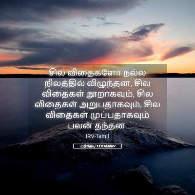 Picture 05 - மத்தேயு 13:8 TAMIRV - சில விதைகளோ நல்ல - Bible Verse Picture