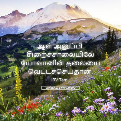 Picture 05 - மத்தேயு 14:10 TAMIRV - ஆள் அனுப்பி, - Bible Verse Picture