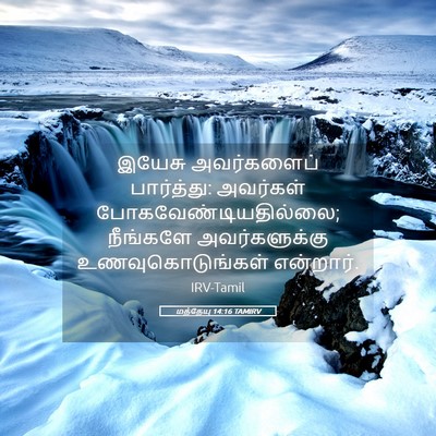 Picture 05 - மத்தேயு 14:16 TAMIRV - இயேசு அவர்களைப் - Bible Verse Picture