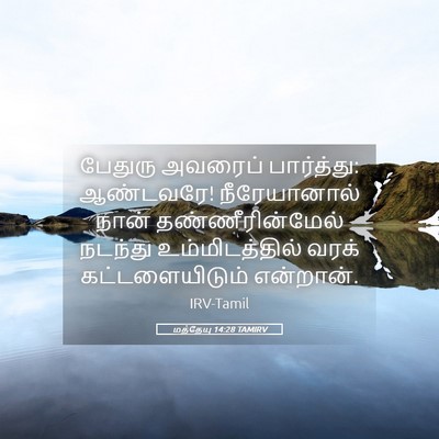 Picture 05 - மத்தேயு 14:28 TAMIRV - பேதுரு அவரைப் - Bible Verse Picture
