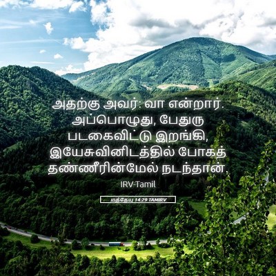 Picture 05 - மத்தேயு 14:29 TAMIRV - அதற்கு அவர்: வா - Bible Verse Picture