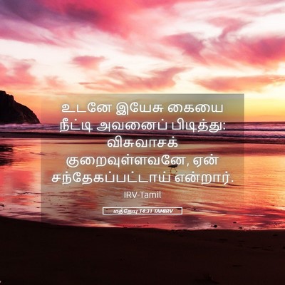 Picture 05 - மத்தேயு 14:31 TAMIRV - உடனே இயேசு கையை - Bible Verse Picture