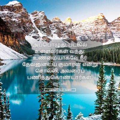 Picture 05 - மத்தேயு 14:33 TAMIRV - அப்பொழுது, படகில் - Bible Verse Picture