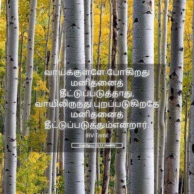 Picture 05 - மத்தேயு 15:11 TAMIRV - வாய்க்குள்ளே - Bible Verse Picture