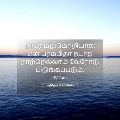 Picture 05 - மத்தேயு 15:13 TAMIRV - அவர் மறுமொழியாக: - Bible Verse Picture