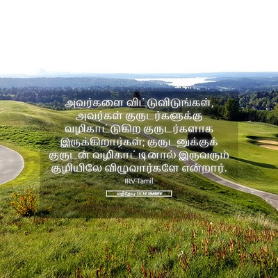 Picture 05 - மத்தேயு 15:14 TAMIRV - அவர்களை - Bible Verse Picture