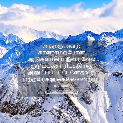 Picture 05 - மத்தேயு 15:24 TAMIRV - அதற்கு அவர்: - Bible Verse Picture