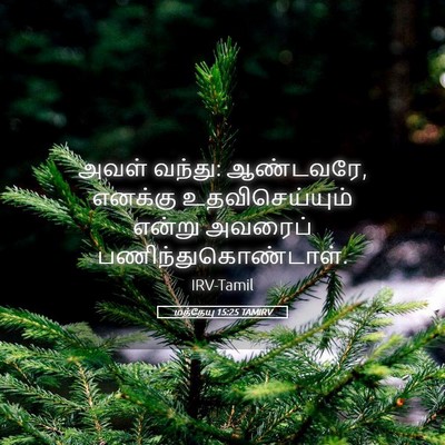 Picture 05 - மத்தேயு 15:25 TAMIRV - அவள் வந்து: - Bible Verse Picture