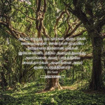 Picture 05 - மத்தேயு 15:30 TAMIRV - அப்பொழுது, - Bible Verse Picture