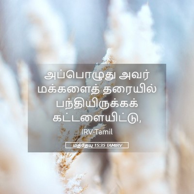 Picture 05 - மத்தேயு 15:35 TAMIRV - அப்பொழுது அவர் - Bible Verse Picture