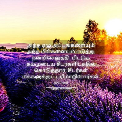 Picture 05 - மத்தேயு 15:36 TAMIRV - அந்த ஏழு - Bible Verse Picture