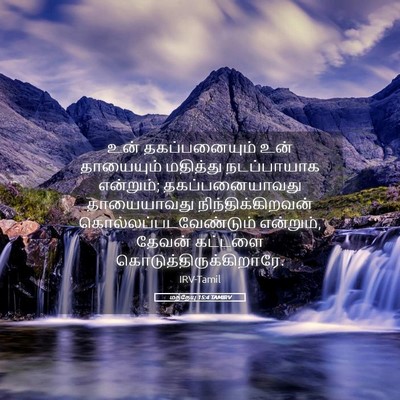 Picture 05 - மத்தேயு 15:4 TAMIRV - உன் தகப்பனையும் - Bible Verse Picture