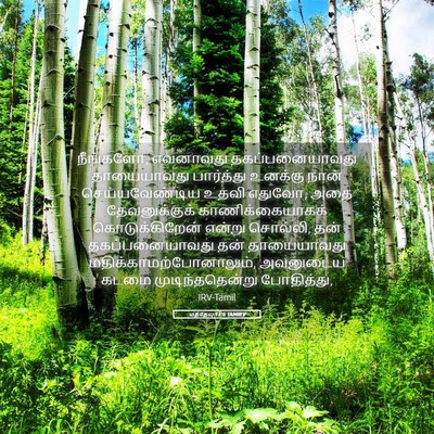 Picture 05 - மத்தேயு 15:5 TAMIRV - நீங்களோ, எவனாவது - Bible Verse Picture