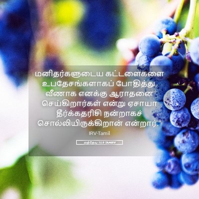 Picture 05 - மத்தேயு 15:9 TAMIRV - மனிதர்களுடைய - Bible Verse Picture