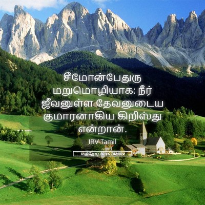Picture 05 - மத்தேயு 16:16 TAMIRV - சீமோன்பேதுரு - Bible Verse Picture