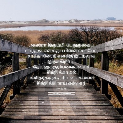 Picture 05 - மத்தேயு 16:23 TAMIRV - அவரோ திரும்பி, - Bible Verse Picture