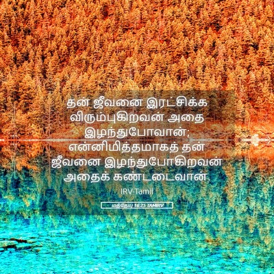 Picture 05 - மத்தேயு 16:25 TAMIRV - தன் ஜீவனை - Bible Verse Picture