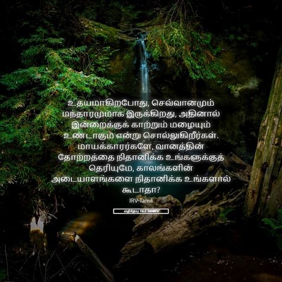 Picture 05 - மத்தேயு 16:3 TAMIRV - உதயமாகிறபோது, - Bible Verse Picture