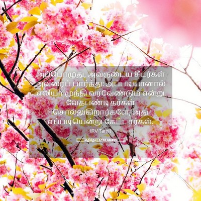 Picture 05 - மத்தேயு 17:10 TAMIRV - அப்பொழுது, - Bible Verse Picture