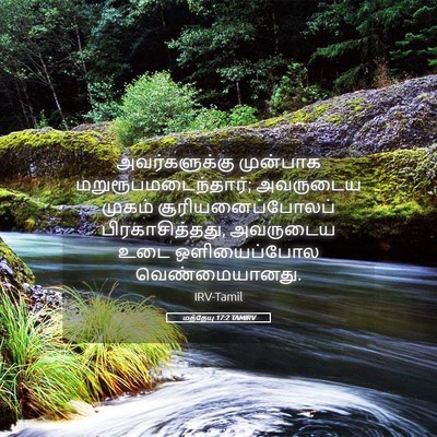 Picture 05 - மத்தேயு 17:2 TAMIRV - அவர்களுக்கு - Bible Verse Picture