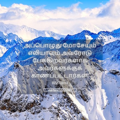 Picture 05 - மத்தேயு 17:3 TAMIRV - அப்பொழுது - Bible Verse Picture