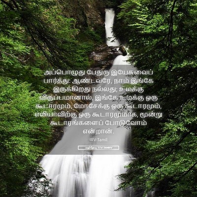 Picture 05 - மத்தேயு 17:4 TAMIRV - அப்பொழுது பேதுரு - Bible Verse Picture