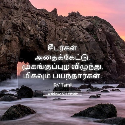 Picture 05 - மத்தேயு 17:6 TAMIRV - சீடர்கள் - Bible Verse Picture