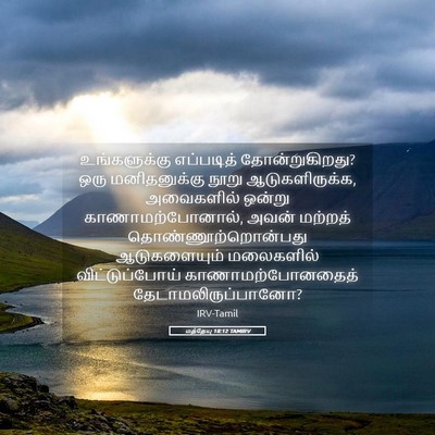 Picture 05 - மத்தேயு 18:12 TAMIRV - உங்களுக்கு - Bible Verse Picture