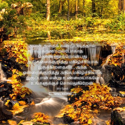 Picture 05 - மத்தேயு 18:13 TAMIRV - அவன் அதைக் - Bible Verse Picture