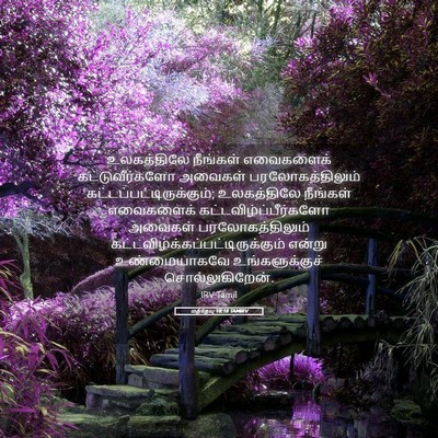 Picture 05 - மத்தேயு 18:18 TAMIRV - உலகத்திலே நீங்கள் - Bible Verse Picture