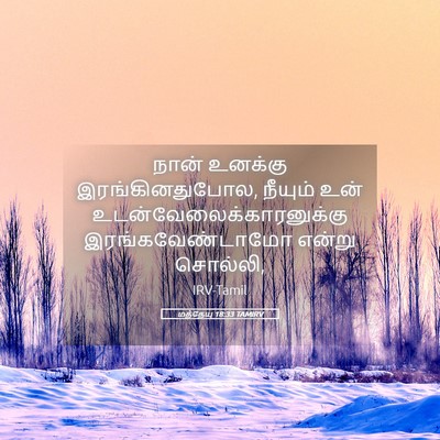 Picture 05 - மத்தேயு 18:33 TAMIRV - நான் உனக்கு - Bible Verse Picture