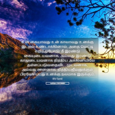 Picture 05 - மத்தேயு 18:8 TAMIRV - உன் கையாவது உன் - Bible Verse Picture