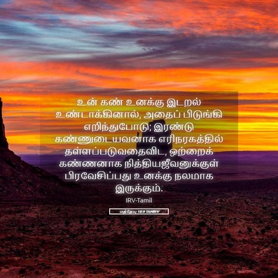 Picture 05 - மத்தேயு 18:9 TAMIRV - உன் கண் உனக்கு - Bible Verse Picture