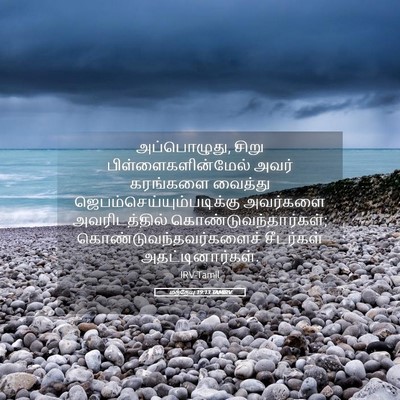 Picture 05 - மத்தேயு 19:13 TAMIRV - அப்பொழுது, சிறு - Bible Verse Picture
