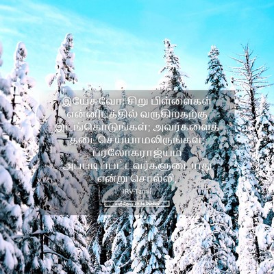 Picture 05 - மத்தேயு 19:14 TAMIRV - இயேசுவோ: சிறு - Bible Verse Picture