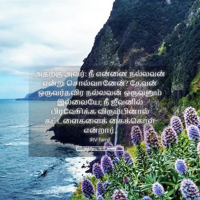 Picture 05 - மத்தேயு 19:17 TAMIRV - அதற்கு அவர்: நீ - Bible Verse Picture