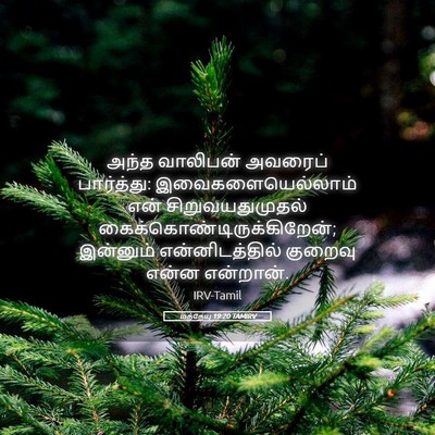Picture 05 - மத்தேயு 19:20 TAMIRV - அந்த வாலிபன் - Bible Verse Picture
