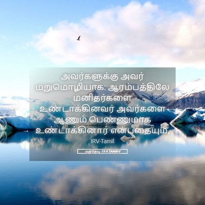 Picture 05 - மத்தேயு 19:4 TAMIRV - அவர்களுக்கு அவர் - Bible Verse Picture