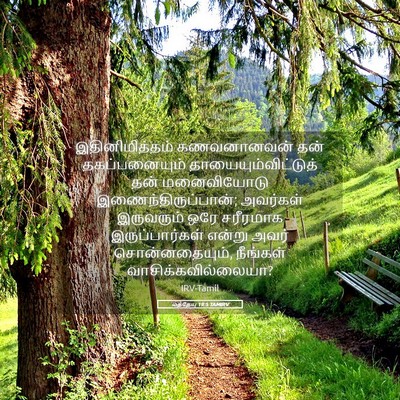 Picture 05 - மத்தேயு 19:5 TAMIRV - இதினிமித்தம் - Bible Verse Picture